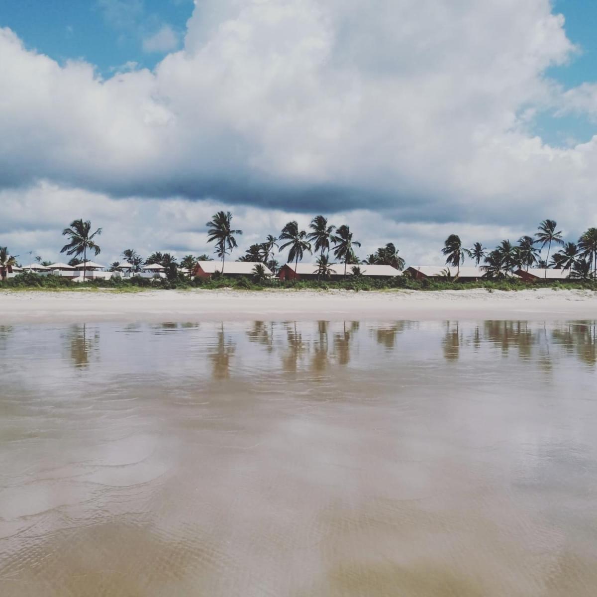 Lindo Apto Em Frente Ao Mar - Ilheus - Itacare Ba Exteriör bild