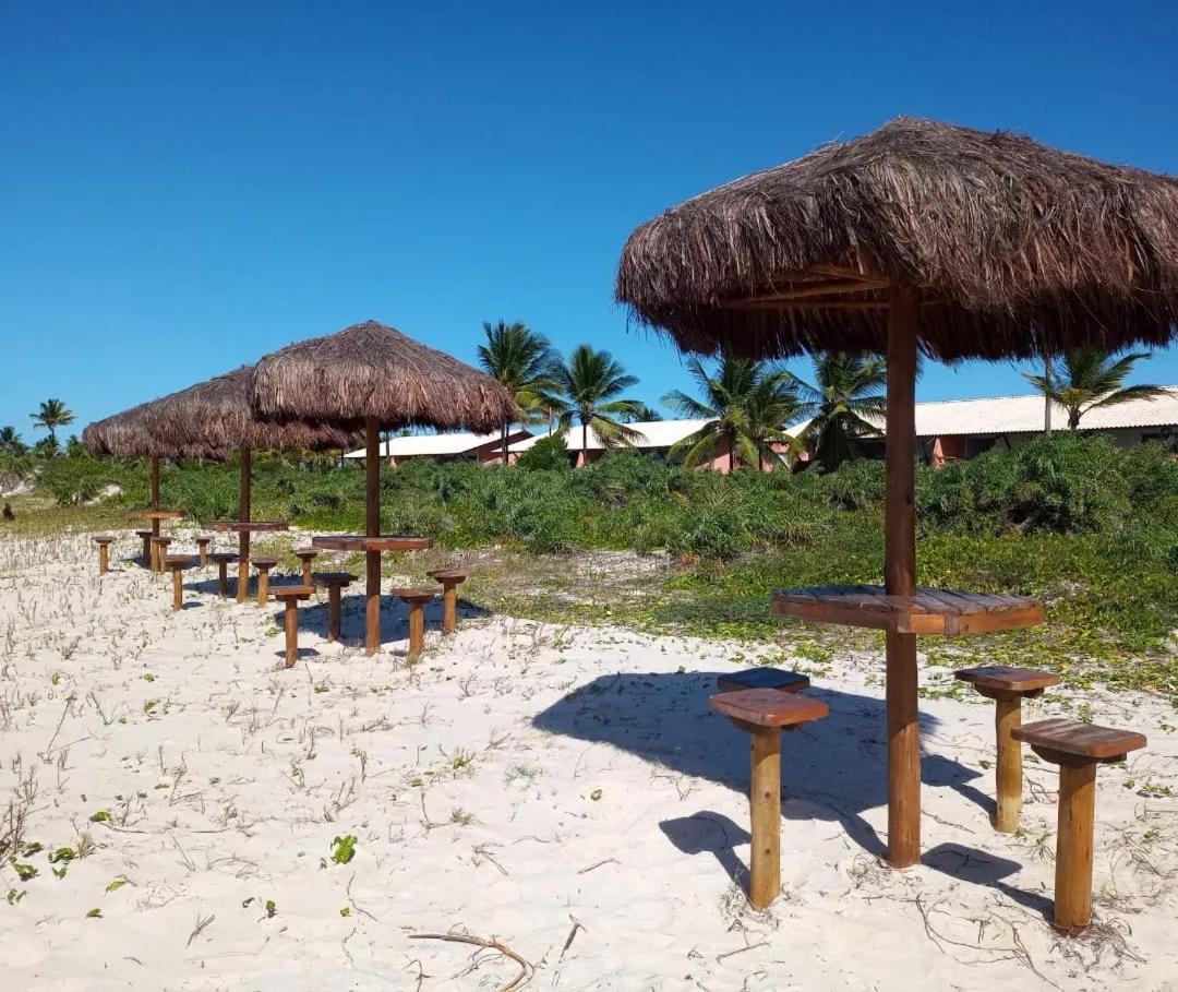 Lindo Apto Em Frente Ao Mar - Ilheus - Itacare Ba Exteriör bild